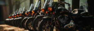 A line of motorcycles sitting in front of some trees