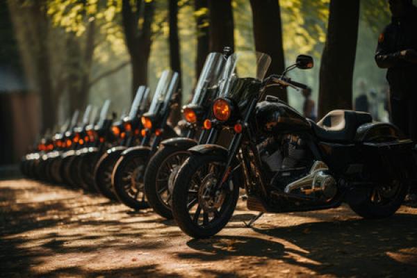 A line of motorcycles sitting in front of some trees